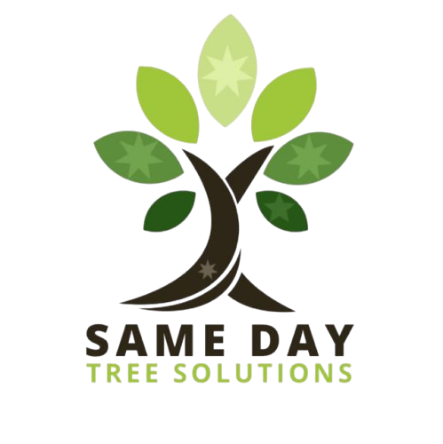Same Day Tree Solutions